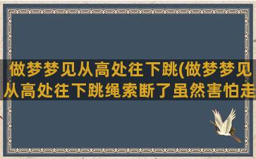 做梦梦见从高处往下跳(做梦梦见从高处往下跳绳索断了虽然害怕走石梯也下去了)