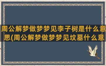 周公解梦做梦梦见李子树是什么意思(周公解梦做梦梦见坟墓什么意思)