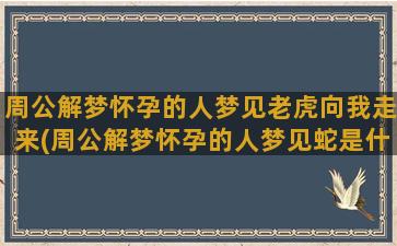 周公解梦怀孕的人梦见老虎向我走来(周公解梦怀孕的人梦见蛇是什么意思)