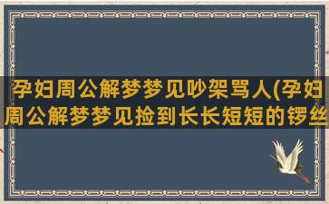 孕妇周公解梦梦见吵架骂人(孕妇周公解梦梦见捡到长长短短的锣丝)