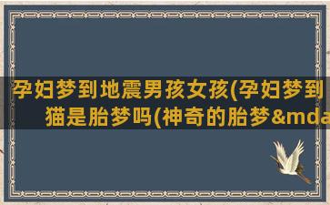 孕妇梦到地震男孩女孩(孕妇梦到猫是胎梦吗(神奇的胎梦——孕妇必修课))