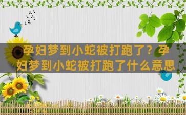 孕妇梦到小蛇被打跑了？孕妇梦到小蛇被打跑了什么意思