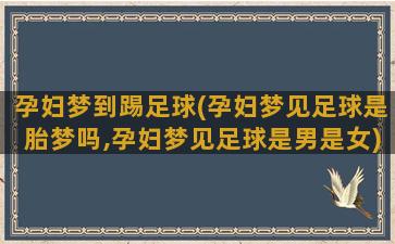 孕妇梦到踢足球(孕妇梦见足球是胎梦吗,孕妇梦见足球是男是女)