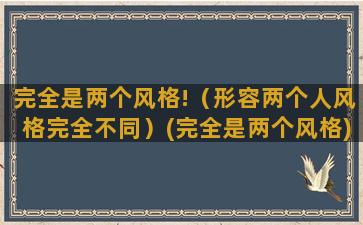 完全是两个风格!（形容两个人风格完全不同）(完全是两个风格)