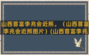 山西首富李兆会近照。（山西首富李兆会近照图片）(山西首富李兆会背会的故事)