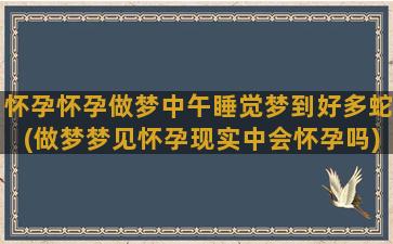 怀孕怀孕做梦中午睡觉梦到好多蛇(做梦梦见怀孕现实中会怀孕吗)