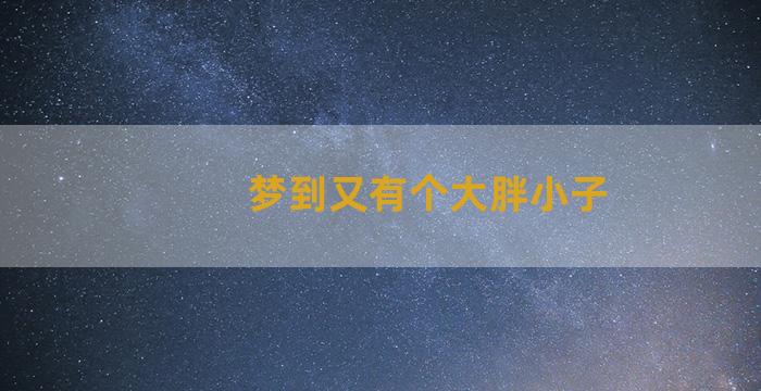 梦到又有个大胖小子