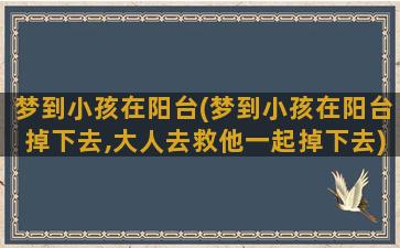 梦到小孩在阳台(梦到小孩在阳台掉下去,大人去救他一起掉下去)