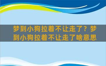 梦到小狗拉着不让走了？梦到小狗拉着不让走了啥意思