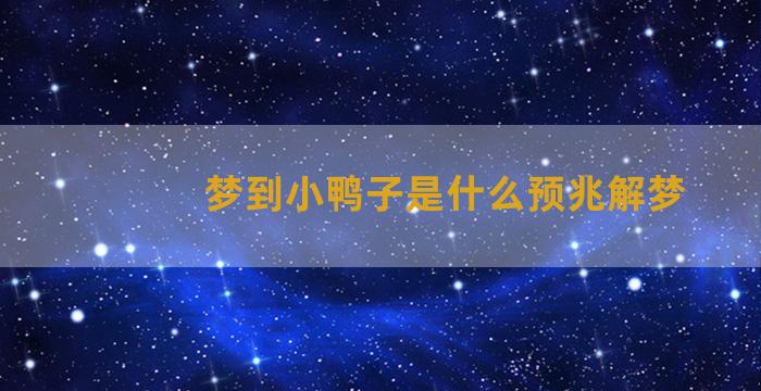 梦到小鸭子是什么预兆解梦