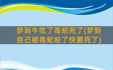 梦到牛吃了毒蛇死了(梦到自己被毒蛇咬了快要死了)