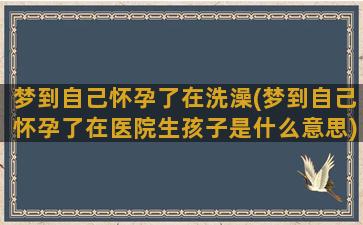 梦到自己怀孕了在洗澡(梦到自己怀孕了在医院生孩子是什么意思)