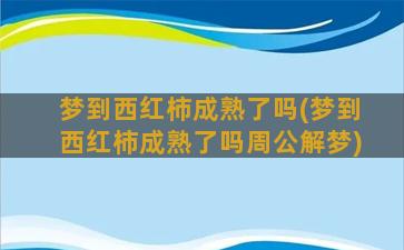 梦到西红柿成熟了吗(梦到西红柿成熟了吗周公解梦)