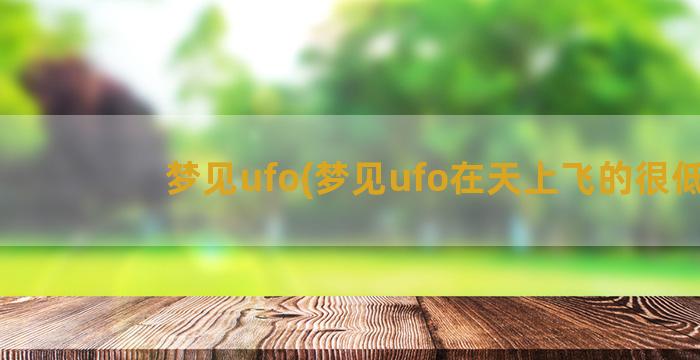 梦见ufo(梦见ufo在天上飞的很低)