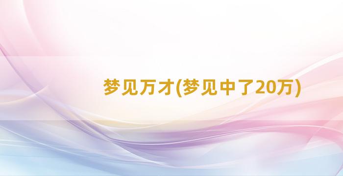 梦见万才(梦见中了20万)