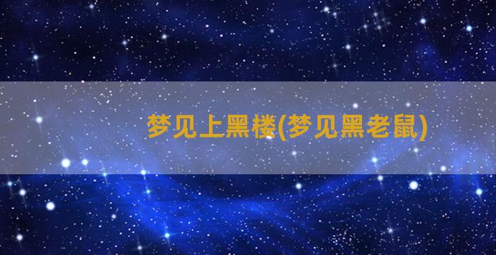 梦见上黑楼(梦见黑老鼠)