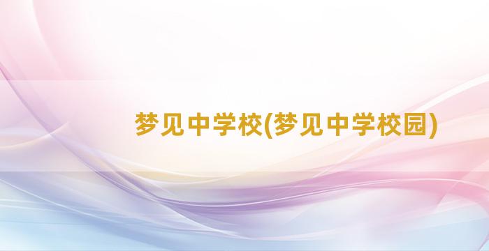 梦见中学校(梦见中学校园)