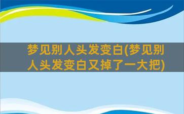 梦见别人头发变白(梦见别人头发变白又掉了一大把)