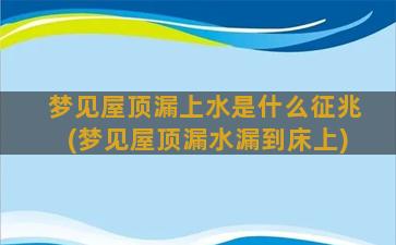 梦见屋顶漏上水是什么征兆(梦见屋顶漏水漏到床上)