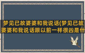 梦见已故婆婆和我说话(梦见已故婆婆和我说话跟以前一样很凶是什么预兆)