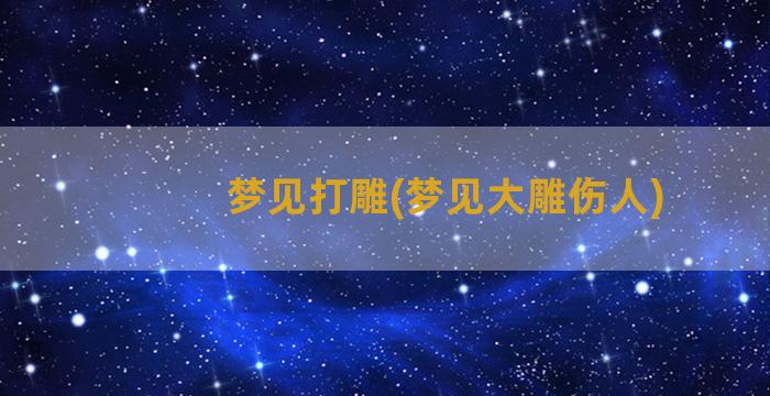 梦见打雕(梦见大雕伤人)