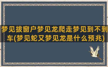 梦见拔窗户梦见龙爬走梦见到不到车(梦见蛇又梦见龙是什么预兆)