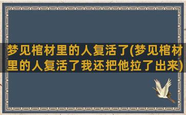 梦见棺材里的人复活了(梦见棺材里的人复活了我还把他拉了出来)