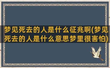 梦见死去的人是什么征兆啊(梦见死去的人是什么意思梦里很害怕)