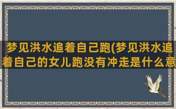 梦见洪水追着自己跑(梦见洪水追着自己的女儿跑没有冲走是什么意思)