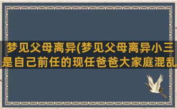 梦见父母离异(梦见父母离异小三是自己前任的现任爸爸大家庭混乱)