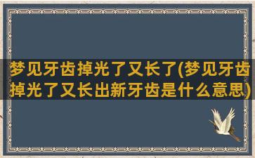 梦见牙齿掉光了又长了(梦见牙齿掉光了又长出新牙齿是什么意思)