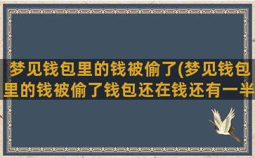 梦见钱包里的钱被偷了(梦见钱包里的钱被偷了钱包还在钱还有一半)